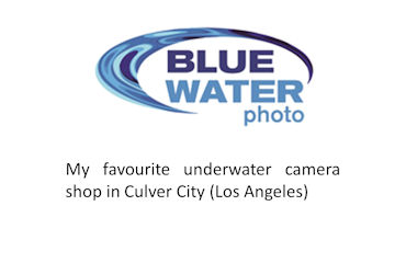 Blue Water Photo Store