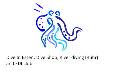 Dive In Essen