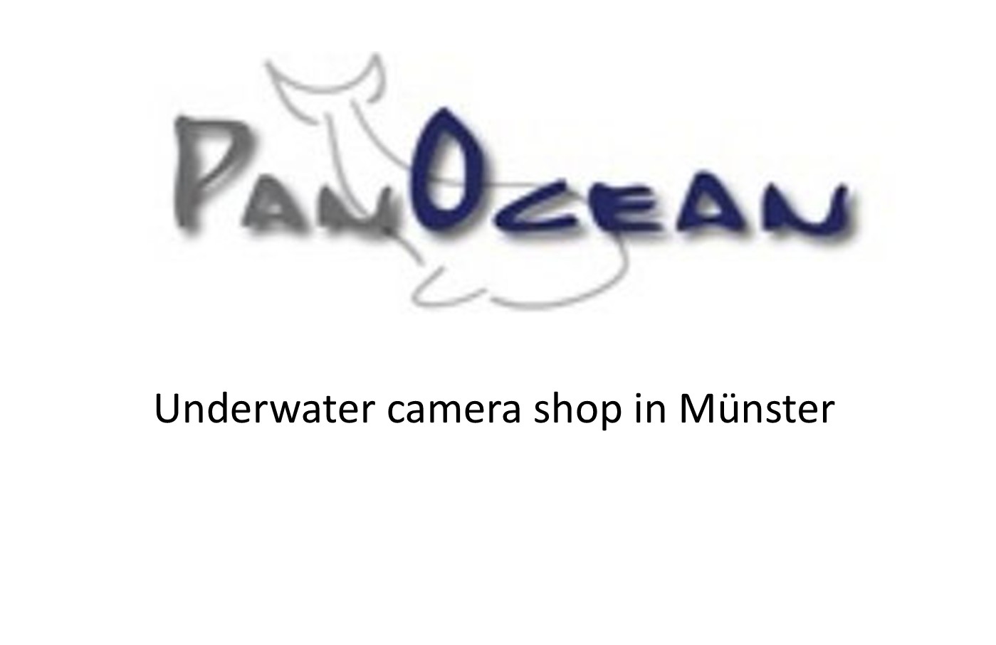 Pan Ocean Photo